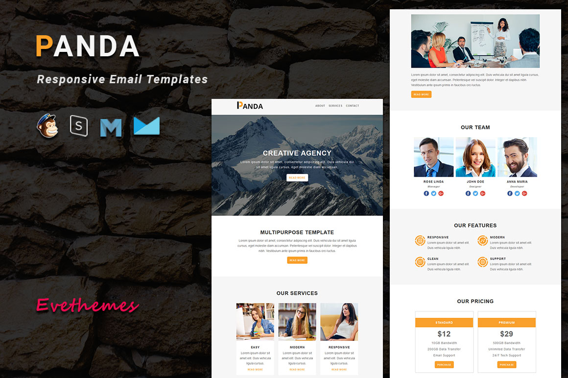 Panda - Responsive Email Template