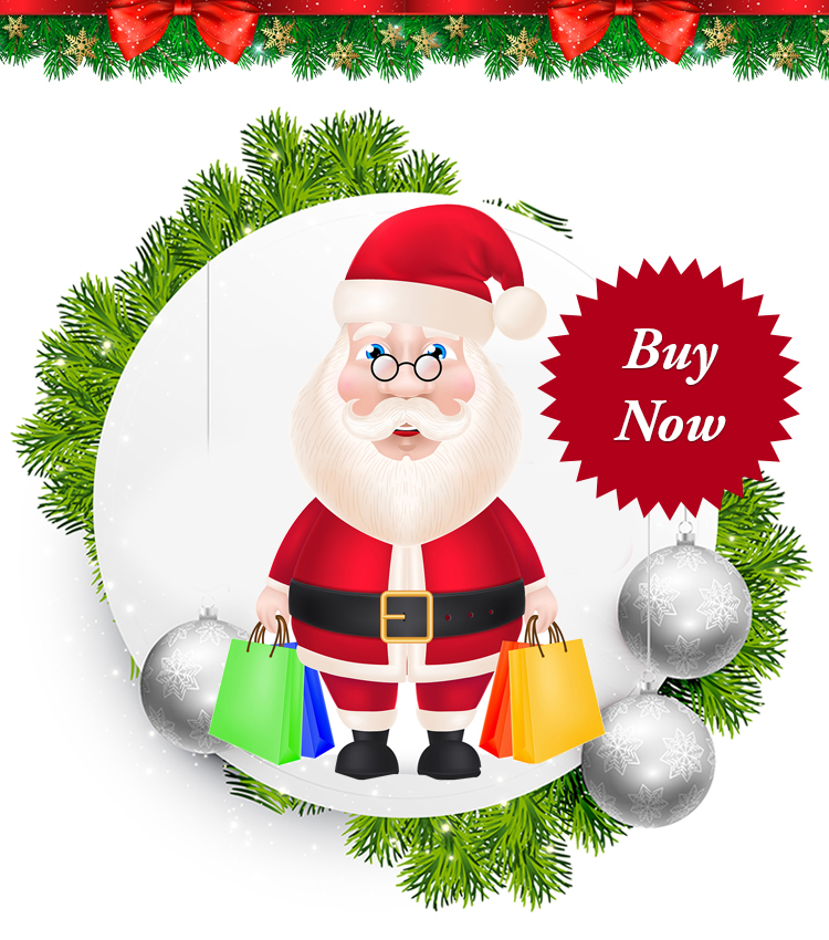 Christmas - Buy Now Responsive Newsletter and Notification Templates