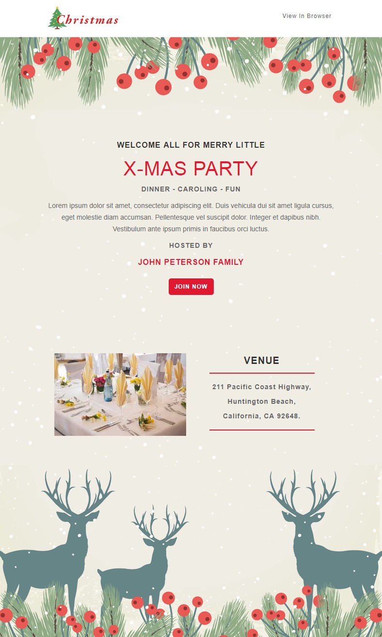Christmas - Invitation Responsive Newsletter and Notification Templates