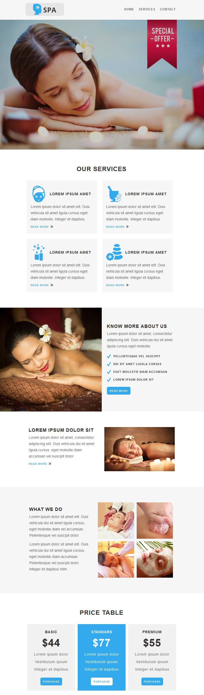Spa Responsive Email Template