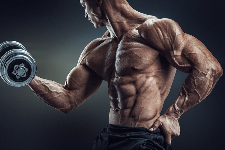 Fitness - Blog Single Right Sidebar Responsive HTML Template
